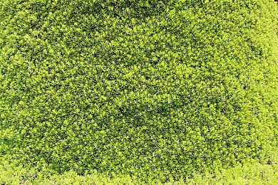 动视暴雪员工对收购完成表示兴奋：终于换老板了